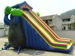 Inflatable Dryad Slide