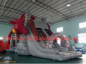 Inflatable Kylin Slide