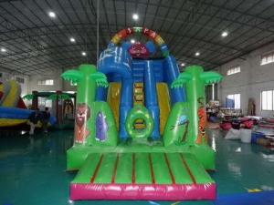 Inflatable Sarafi Slide