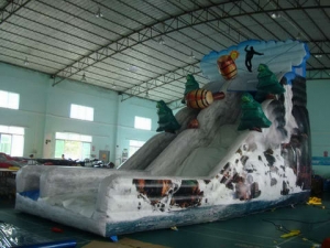 Inflatable Jungle Slide