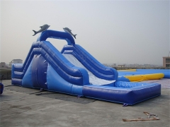 Dolphin Water Slide