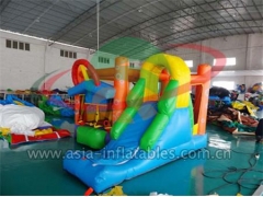 Hot Selling Backyard Inflatable Mini Bouncer Combo in Factory Price