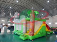 Bounce House