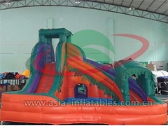 Water Slide