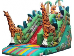 inflatable slide