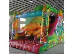 inflatable slide