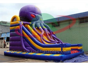 inflatable slide