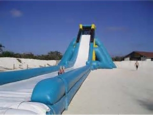 Giant Inflatable Hippo Slide