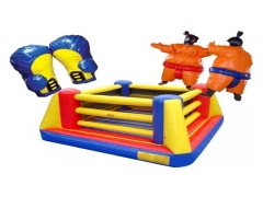 Inflatable Boxing Ring