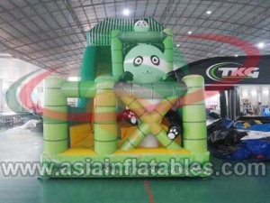 Inflatable Slide