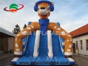 inflatable slide