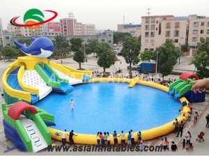 Inflatable Shark Water Slide with Pool