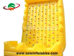 Funny Large Outdoor Inflatable Slides Trampoline Inflatable Rock Climbing Wall For Sale & Interactive Sports Games