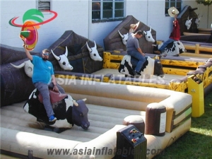 Inflatable Sports Games