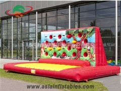 Inflatable Sports Games