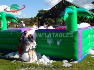 Inflatable Sports Games