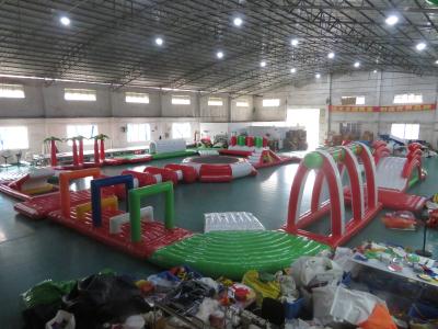 Giant Inflatable Slides